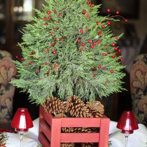 The Pinery Italian Stone Pine Holiday Decor Tree
